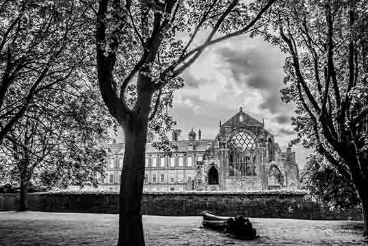 <p>Holyrood Palace</p>