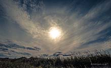 <p>Sun over the dunes</p>