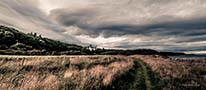 <p>Path to Dunrobin Castle</p>