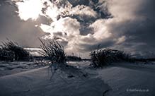 <p>Blowing sand through dunes</p>