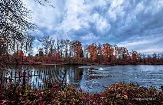 <p>Colourful autumn river scene</p>