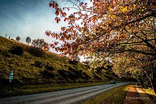 <p>A drive in autumn sunlight</p>