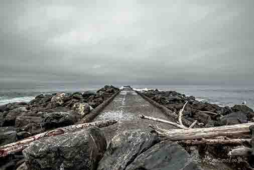 <p>Looking out to sea</p>