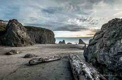 <p>Driftwood</p>