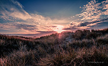 <p>Sunset over the dunes</p>