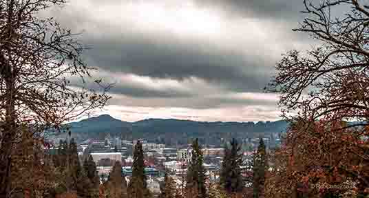 <p>The city of Eugene Oregon through trees</p>