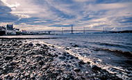 <p>Forth Road Bridge</p>