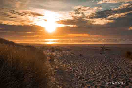 <p>A golden sunset over the sea</p>