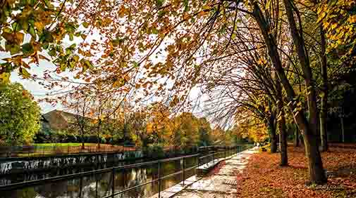 <p>An autumn walk by the river</p>