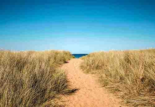 <p>A gap in the dunes</p>