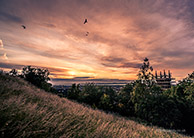 <p>Birds flying in an evening sky</p>