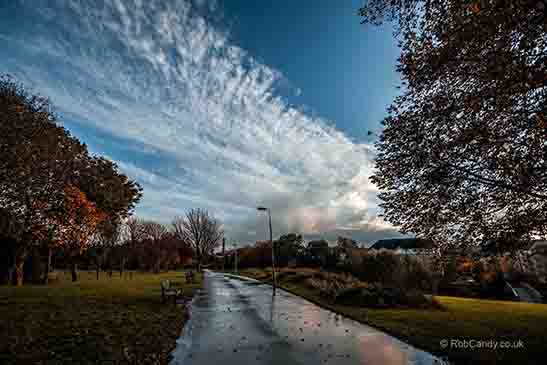 <p>A damp path through a park</p>