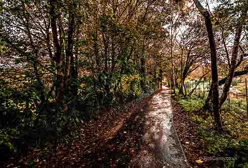 <p>A damp path through the woods</p>