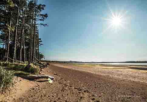 <p>Sunny coastal scene</p>